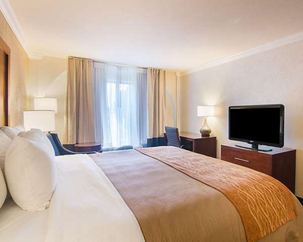 Suite - Comfort Inn & Suites West Katy - I-10, Exit 745