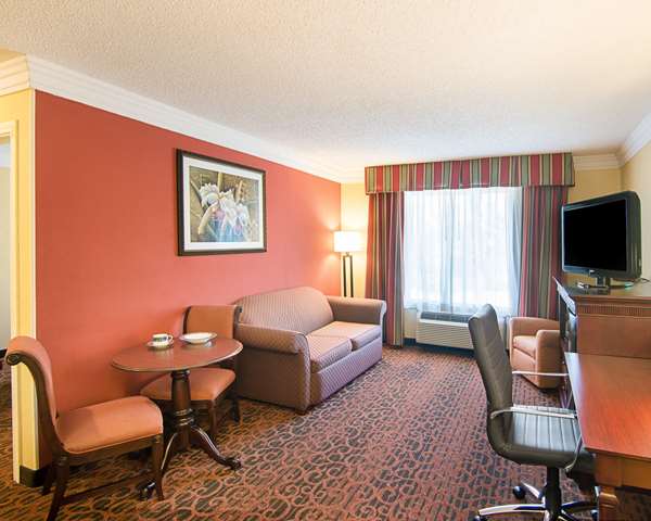 Suite - Comfort Inn & Suites West Katy - I-10, Exit 745