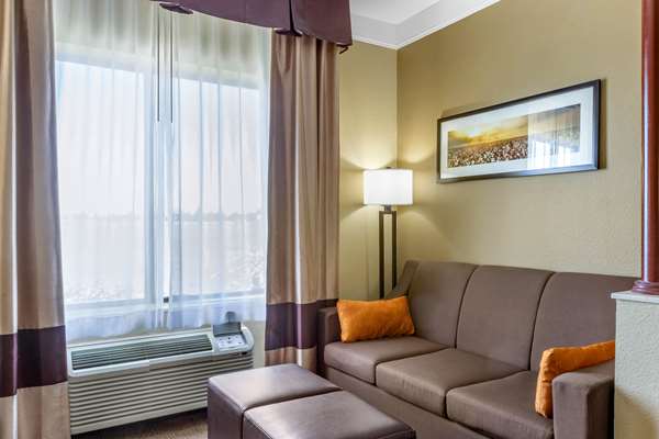 Suite - Comfort Suites Plainview - I-27, Exit 49