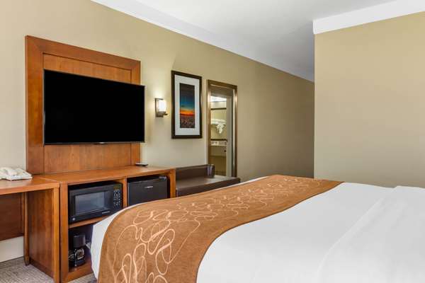 Suite - Comfort Suites Plainview - I-27, Exit 49
