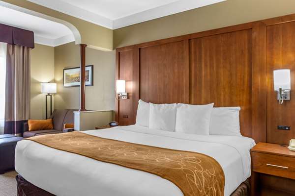 Suite - Comfort Suites Plainview - I-27, Exit 49