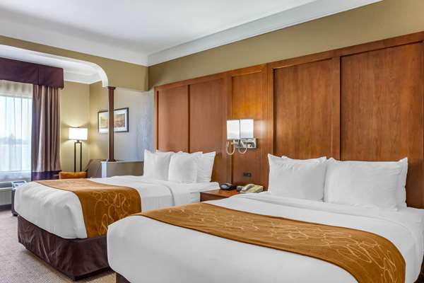 Suite - Comfort Suites Plainview - I-27, Exit 49