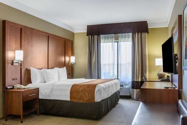 Suite - Comfort Suites Plainview - I-27, Exit 49