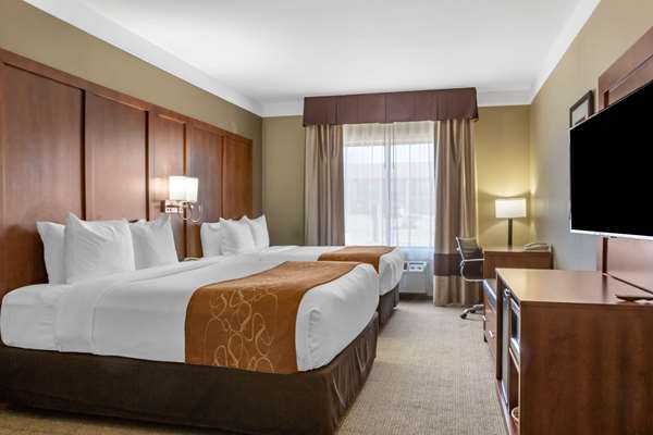Suite - Comfort Suites Plainview - I-27, Exit 49