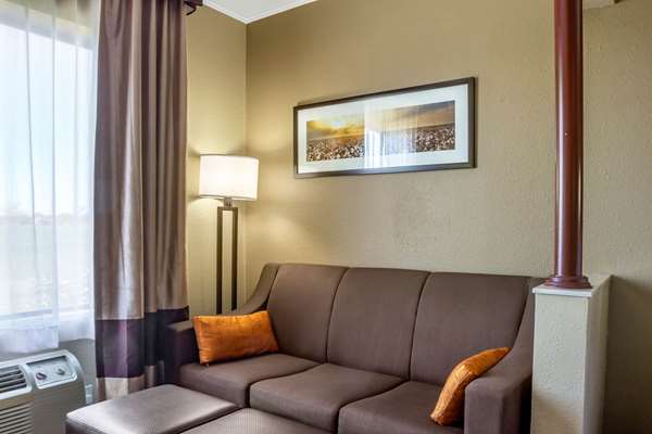 Suite - Comfort Suites Plainview - I-27, Exit 49