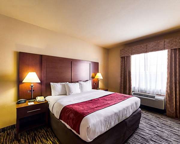 Suite - Comfort Suites McAllen