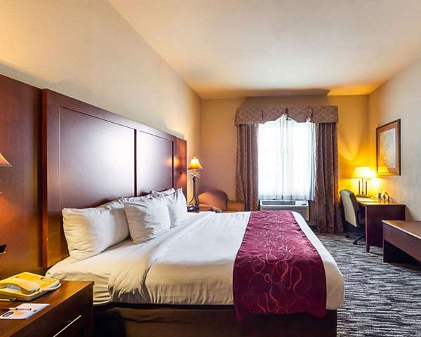 Suite - Comfort Suites McAllen
