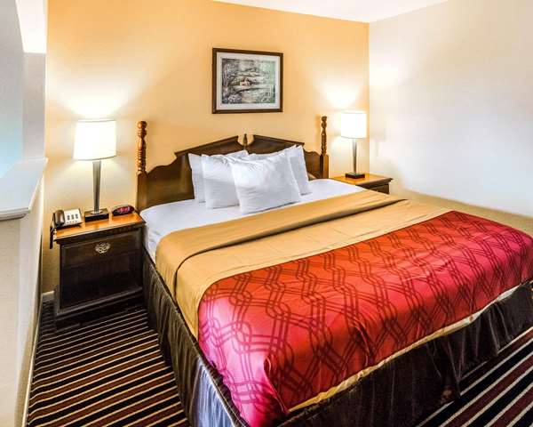 Suite - Rodeway Inn & Suites Northwest Houston