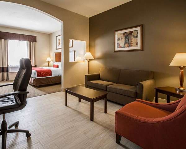  - Comfort Suites Stafford - I-69, Exit 112 & 113