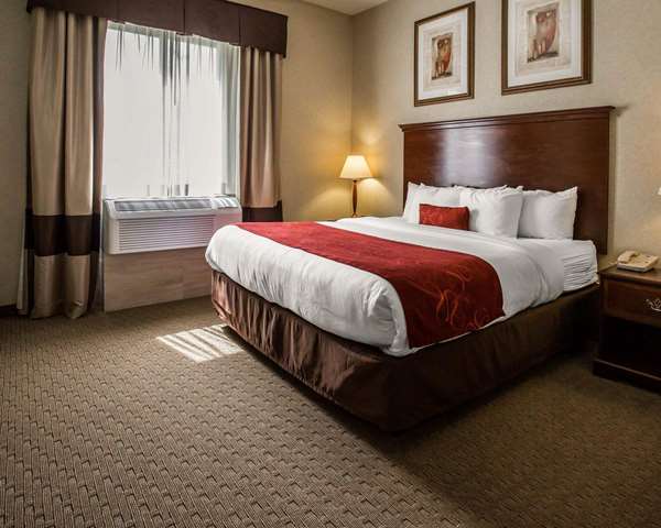  - Comfort Suites Stafford - I-69, Exit 112 & 113