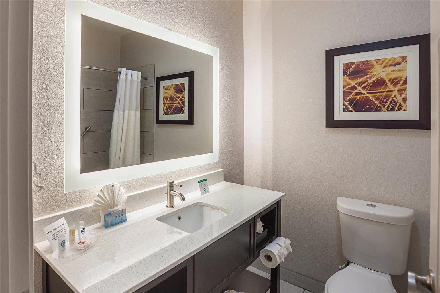COMFORT SUITES LEWISVILLE - DALLAS-guestroom-Guest Room,Bathroom,On-Site.jpg