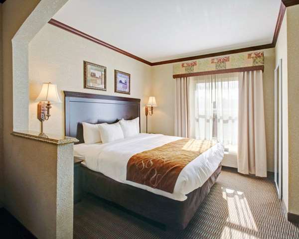 Suite - Comfort Suites University Drive College Station