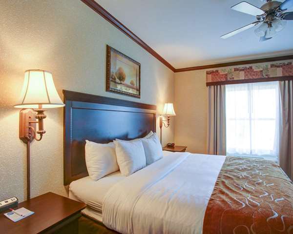 Suite - Comfort Suites University Drive College Station