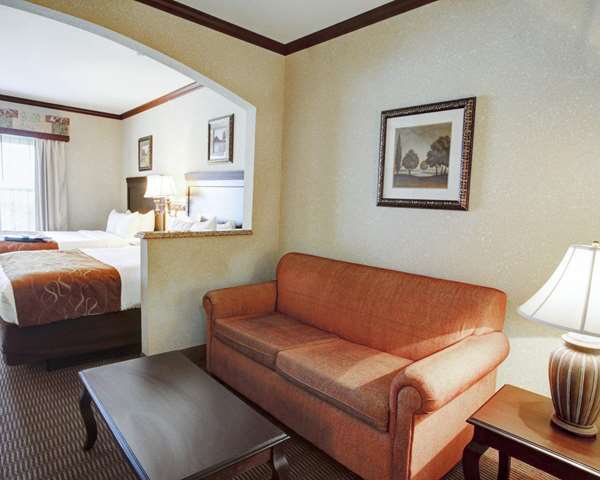 Suite - Comfort Suites University Drive College Station