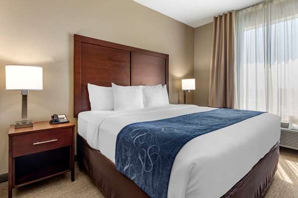Suite - Comfort Suites Baylor University Waco - I-35, Exit 333A