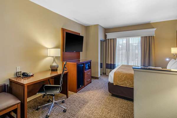 Suite - Comfort Suites Marshall - I-20, Exit 617