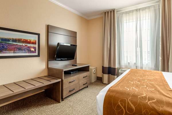 Suite - Comfort Suites Baytown - I-10, Exit 792