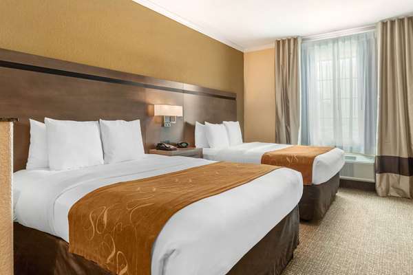 Suite - Comfort Suites Baytown - I-10, Exit 792