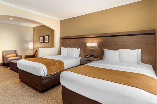 Suite - Comfort Suites Baytown - I-10, Exit 792