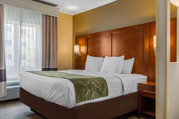 Suite - Comfort Suites Central Corpus Christi