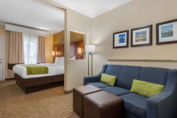 Suite - Comfort Suites Central Corpus Christi