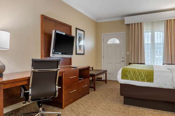 Suite - Comfort Suites Central Corpus Christi