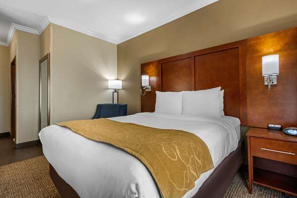 Suite - Comfort Suites Central Corpus Christi