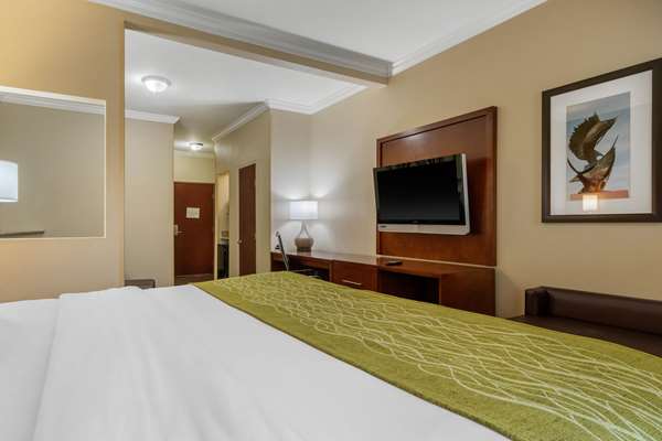 Suite - Comfort Suites Central Corpus Christi