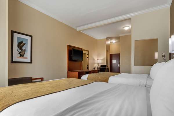 Suite - Comfort Suites Central Corpus Christi