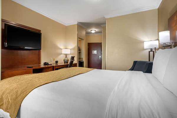 Suite - Comfort Suites Central Corpus Christi