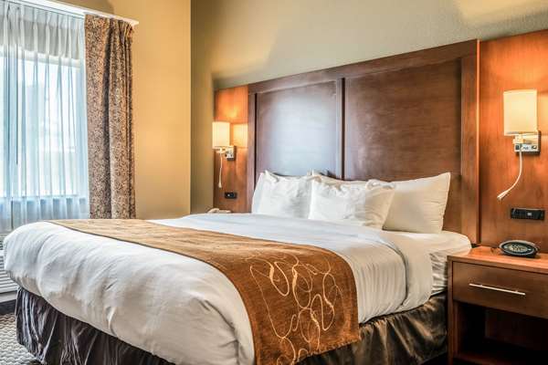 Suite - Comfort Suites San Marcos - I-35, Exit 204A