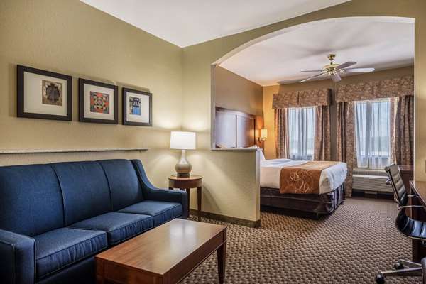 Suite - Comfort Suites San Marcos - I-35, Exit 204A