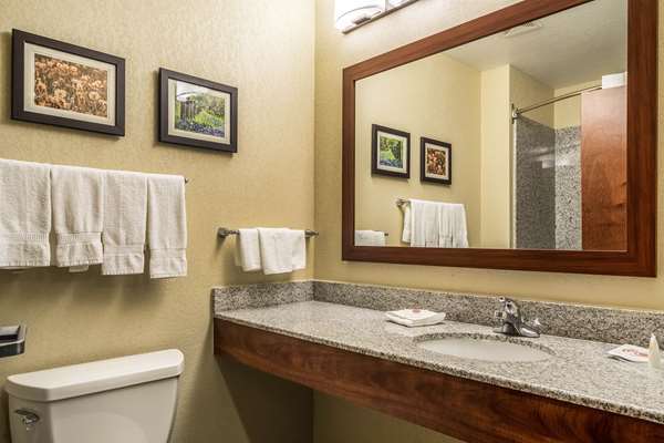 Suite - Comfort Suites San Marcos - I-35, Exit 204A