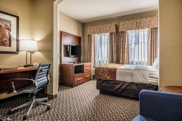 Suite - Comfort Suites San Marcos - I-35, Exit 204A
