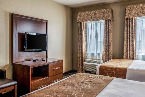 Suite - Comfort Suites San Marcos - I-35, Exit 204A