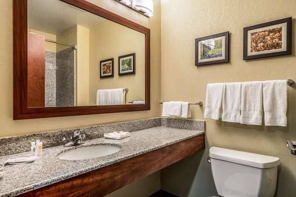 Suite - Comfort Suites San Marcos - I-35, Exit 204A