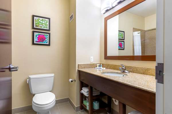 Suite - Comfort Suites Copperas Cove