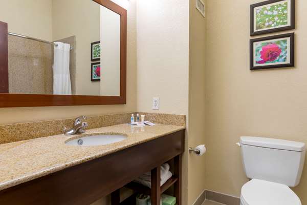 Suite - Comfort Suites Copperas Cove