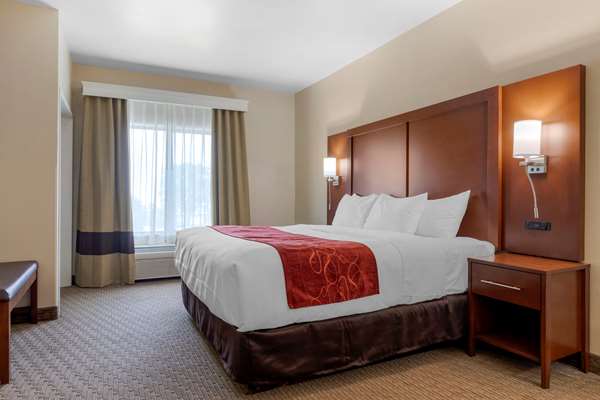 Suite - Comfort Suites Copperas Cove