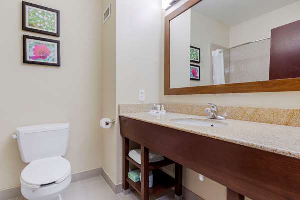 Suite - Comfort Suites Copperas Cove