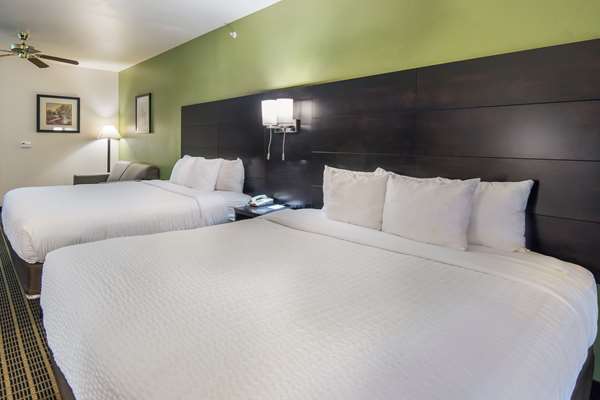 Suite - Clarion Inn & Suites Weatherford - I-20, Exit 408