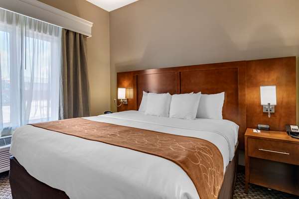 Suite - Comfort Suites Corpus Christi