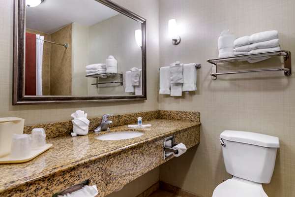 Suite - Comfort Suites Corpus Christi