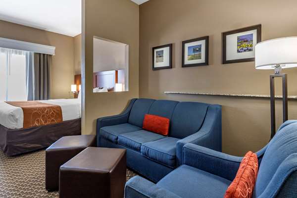 Suite - Comfort Suites Corpus Christi