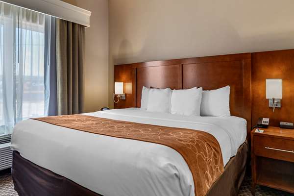 Suite - Comfort Suites Corpus Christi