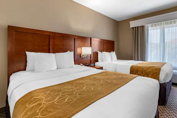 Suite - Comfort Suites Corpus Christi