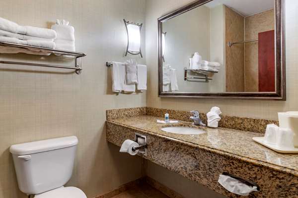 Suite - Comfort Suites Corpus Christi