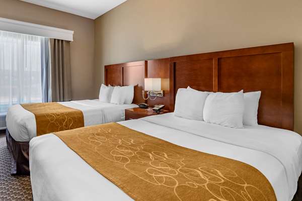 Suite - Comfort Suites Corpus Christi