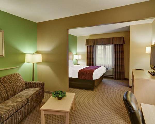  - Comfort Suites Lindale - I-20, Exit 556