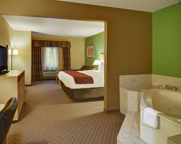 Suite - Comfort Suites Lindale - I-20, Exit 556